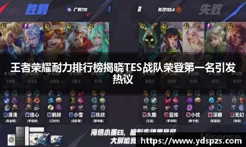 王者荣耀耐力排行榜揭晓TES战队荣登第一名引发热议